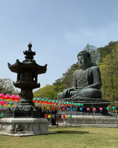 International Summer Camps